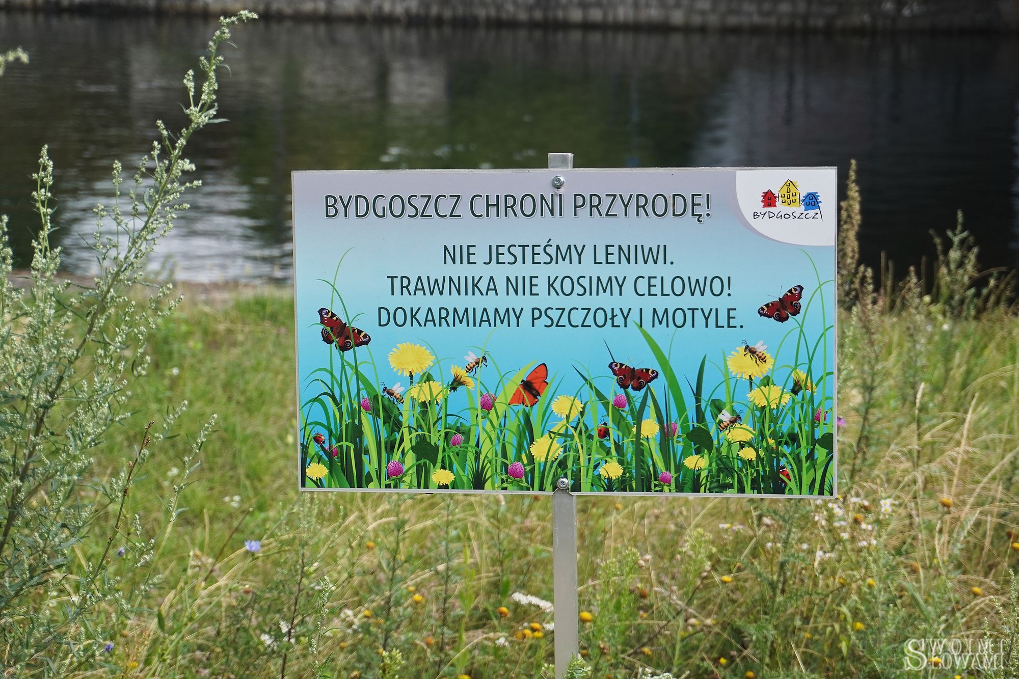 Bydgoszcz 26.jpg